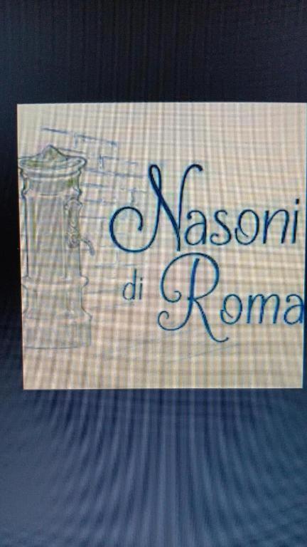 Nasoni Di Roma Aparthotel Exteriör bild